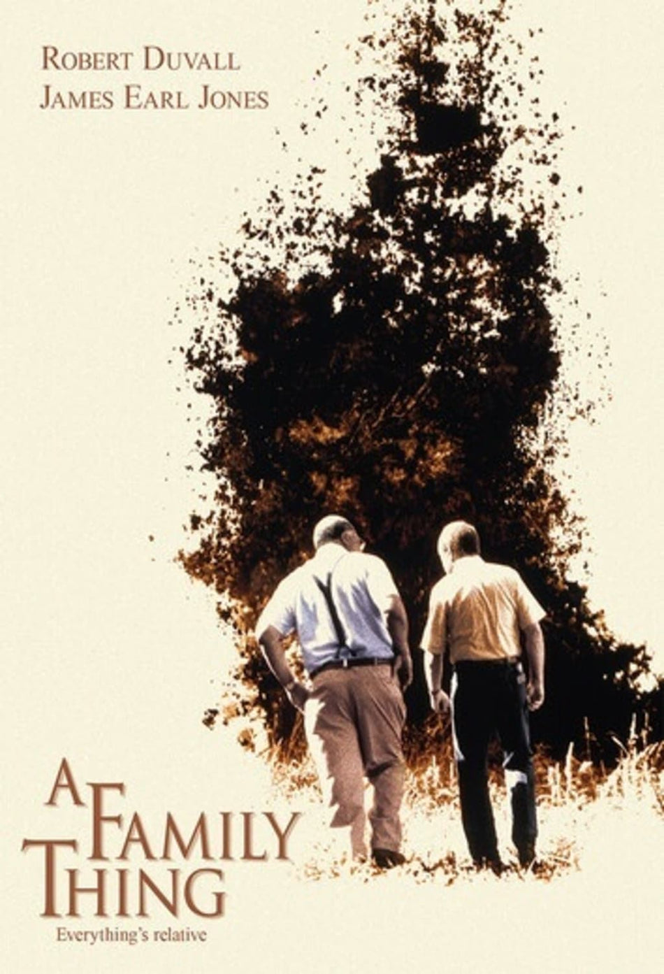 A Family Thing - [DVD]