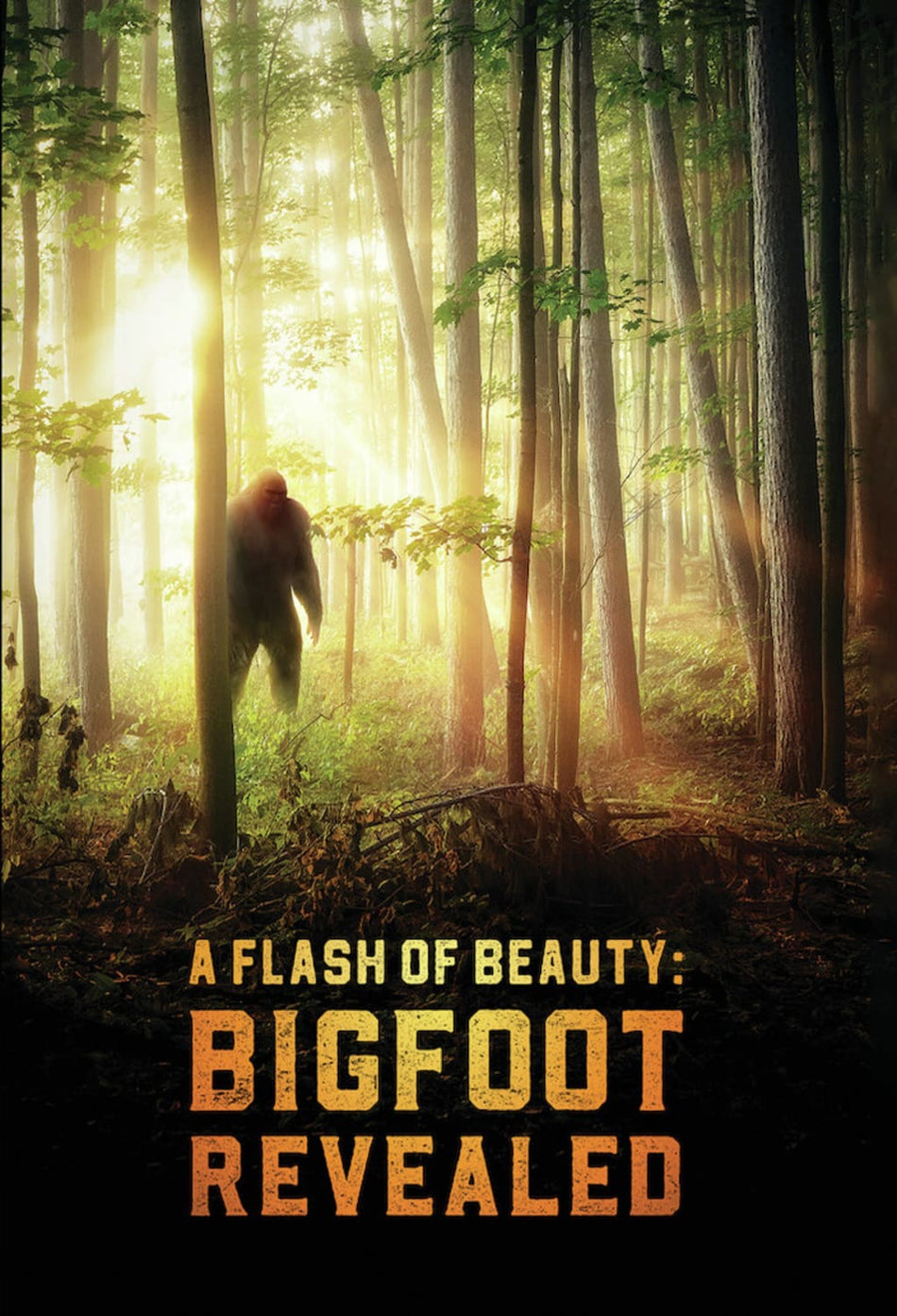 A Flash Of Beauty: Bigfoot Revealed - [DVD]