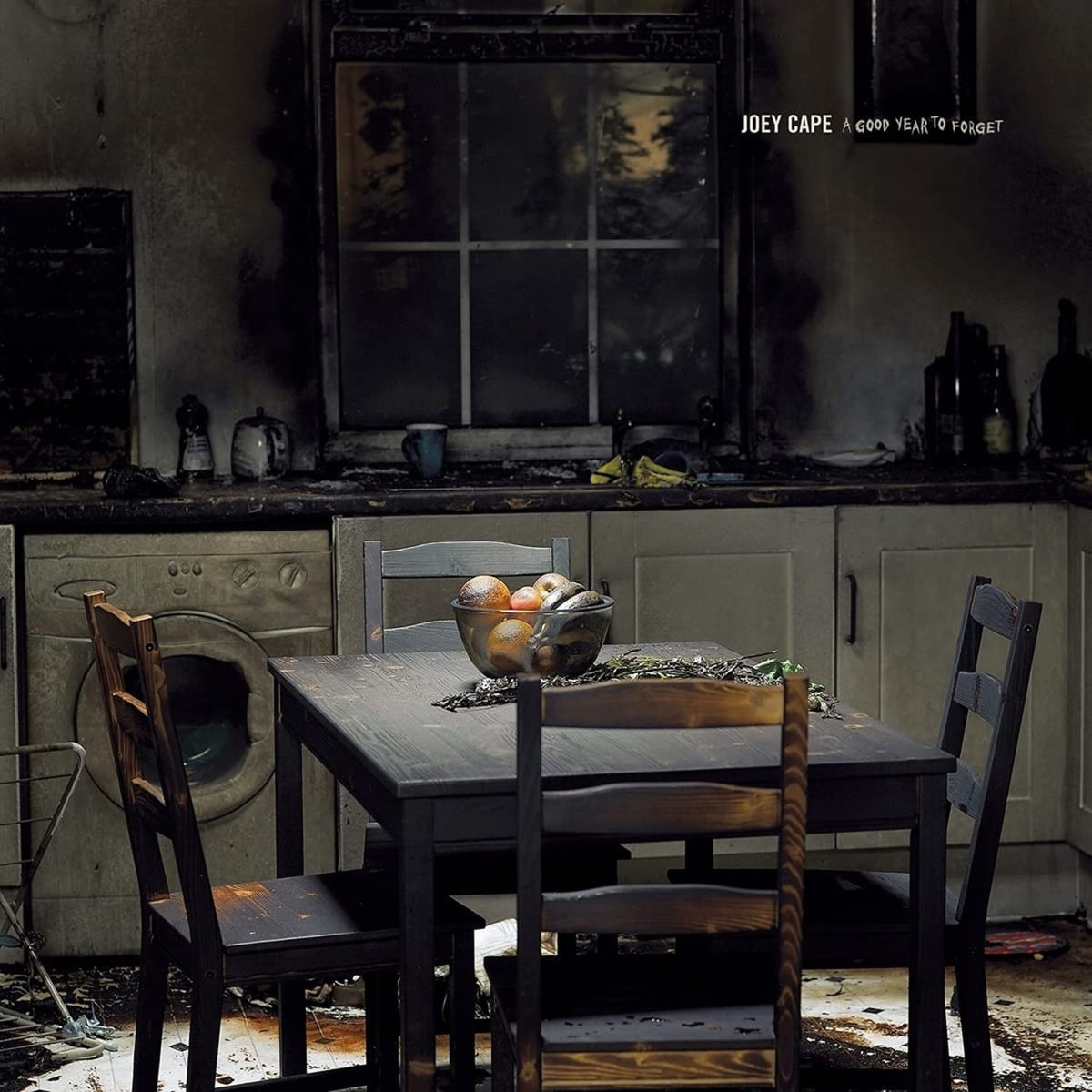 Joey Cape - A Good Year To Forget - [Vinyl]
