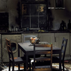 Joey Cape - A Good Year To Forget - [Vinyl]