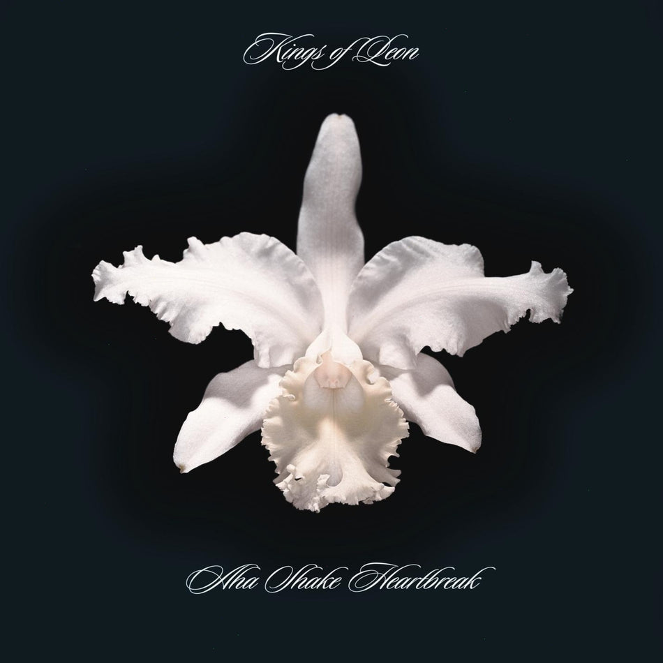 Kings of Leon - Aha Shake Heartbreak - (180 Gram Vinyl, Remastered, Reissue) - [Vinyl]