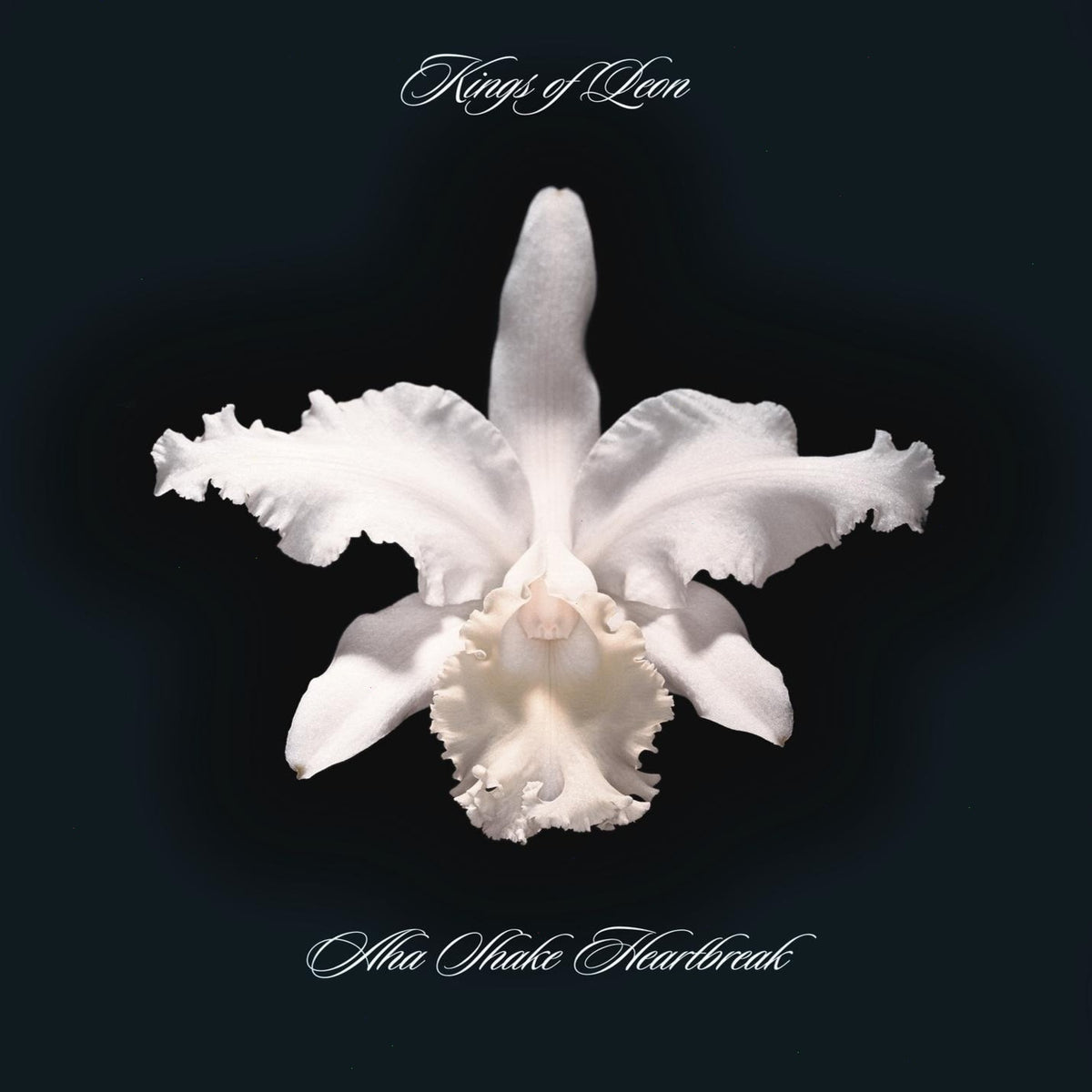 Kings of Leon - Aha Shake Heartbreak - (180 Gram Vinyl, Remastered, Reissue) - [Vinyl]