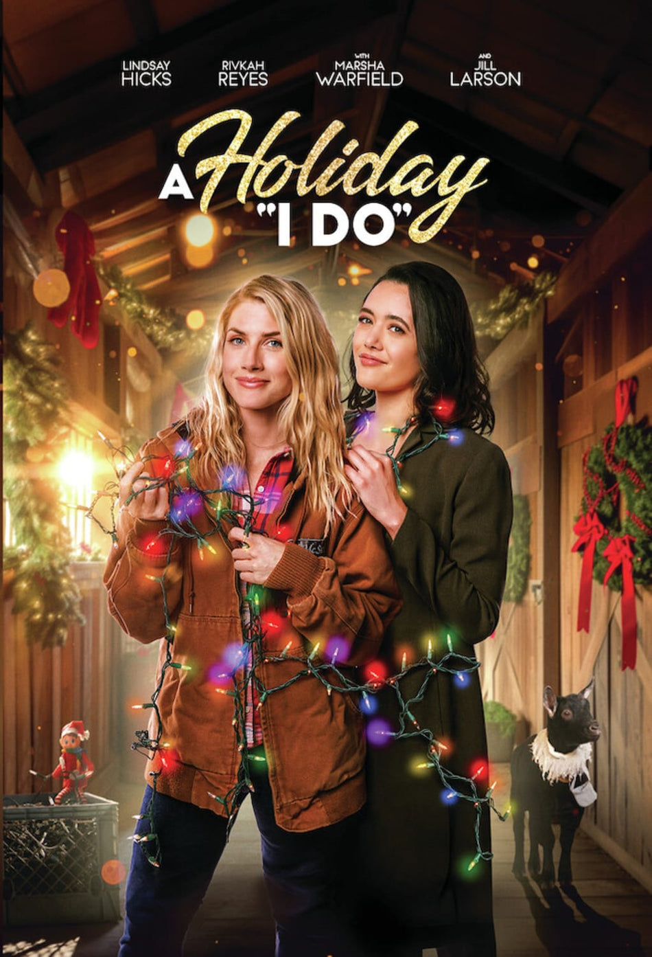 A Holiday I Do - (AC-3) - [DVD]