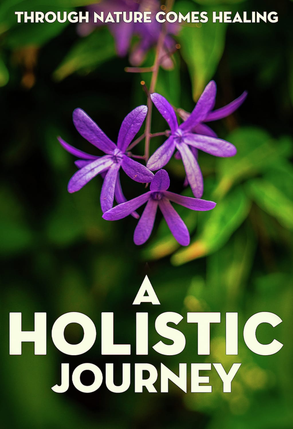 A Holistic Journey - [DVD]