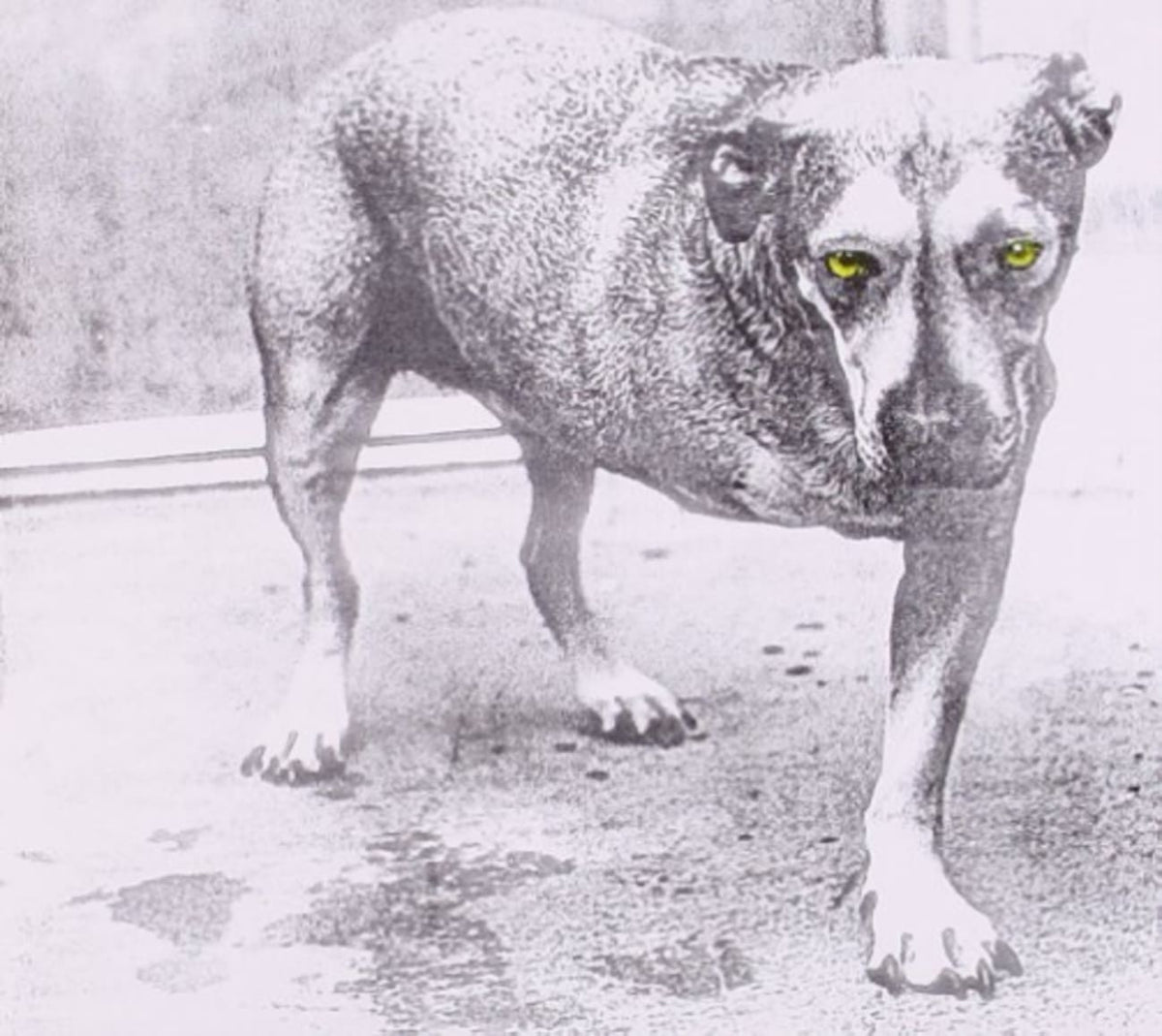 Alice In Chains - [CD]