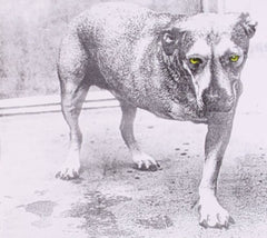 Alice In Chains - [CD]