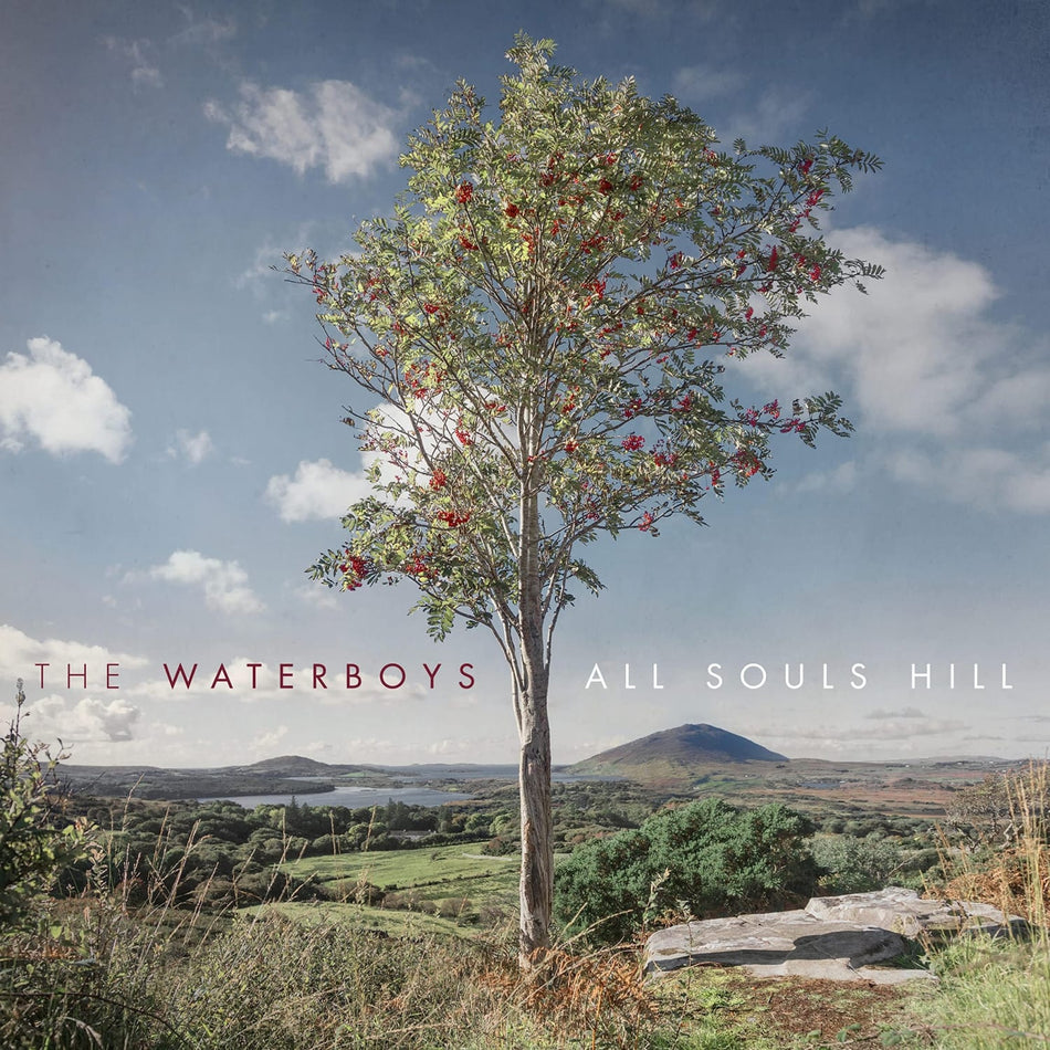 The Waterboys - All Souls Hill - (Slipsleeve/Digsleeve Packaging) - [Vinyl]