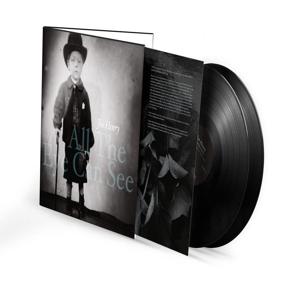 Joe Henry - All The Eye Can See - [Vinyl]