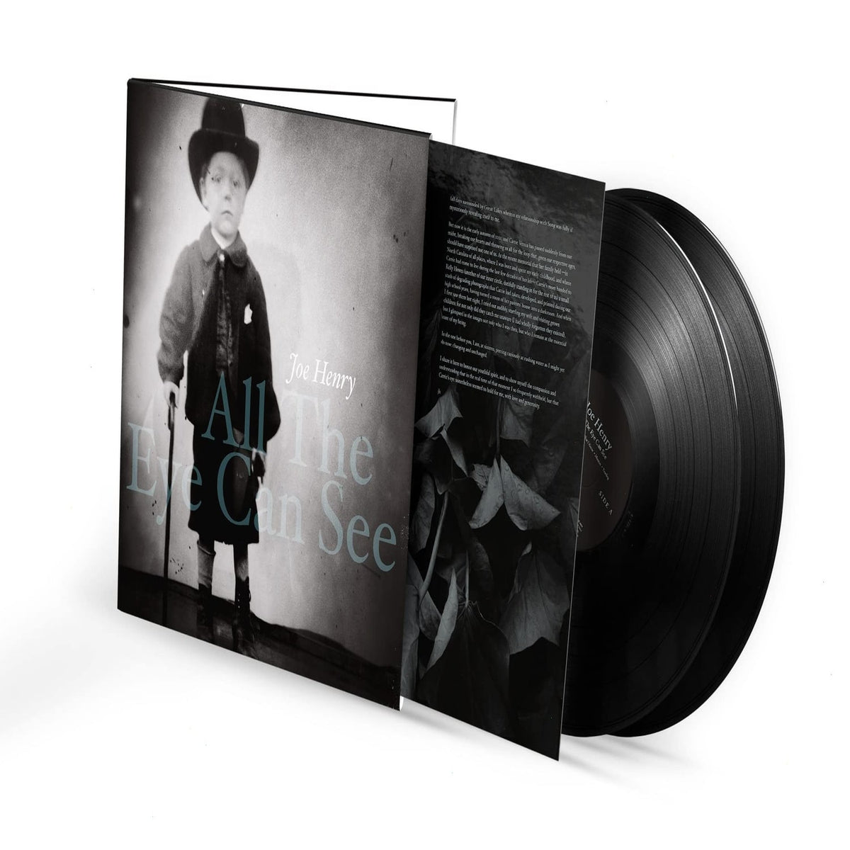 Joe Henry - All The Eye Can See - [Vinyl]