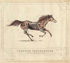 Turnpike Troubadours - A Long Way From Your Heart - [CD]