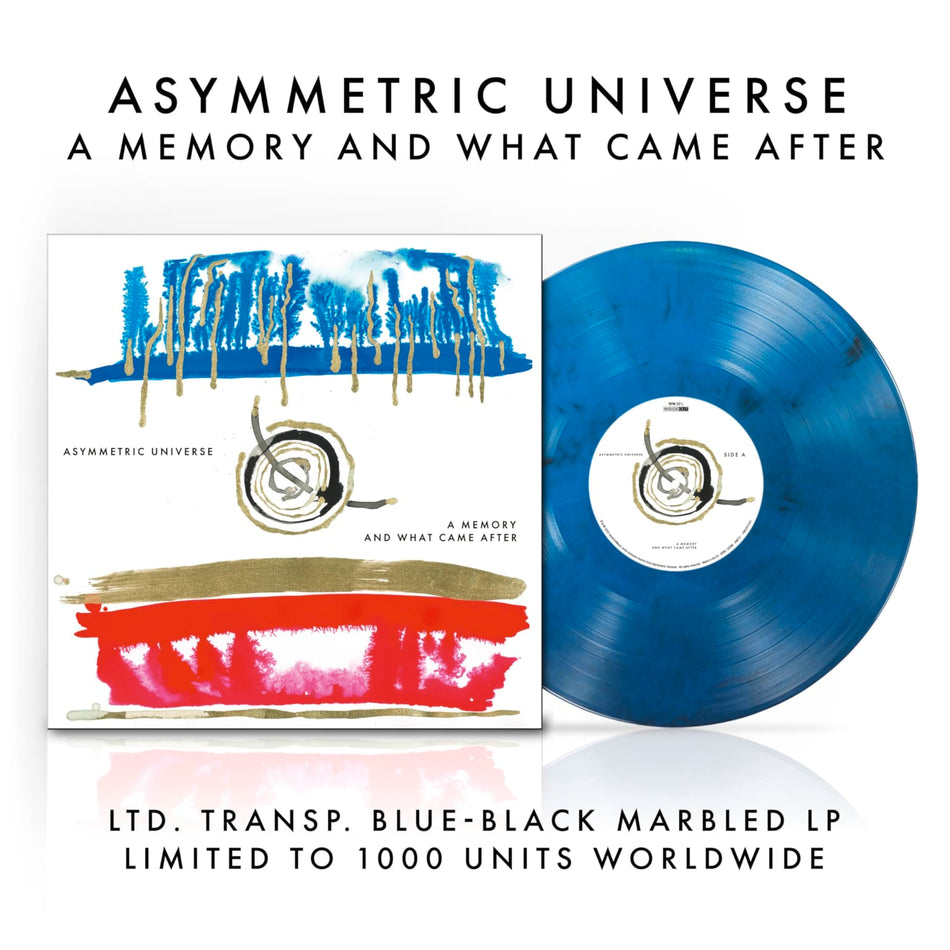Asymmetric Universe - Memory & What Came After - Transparent Blue & Black Marble Colored - [Vinyl]