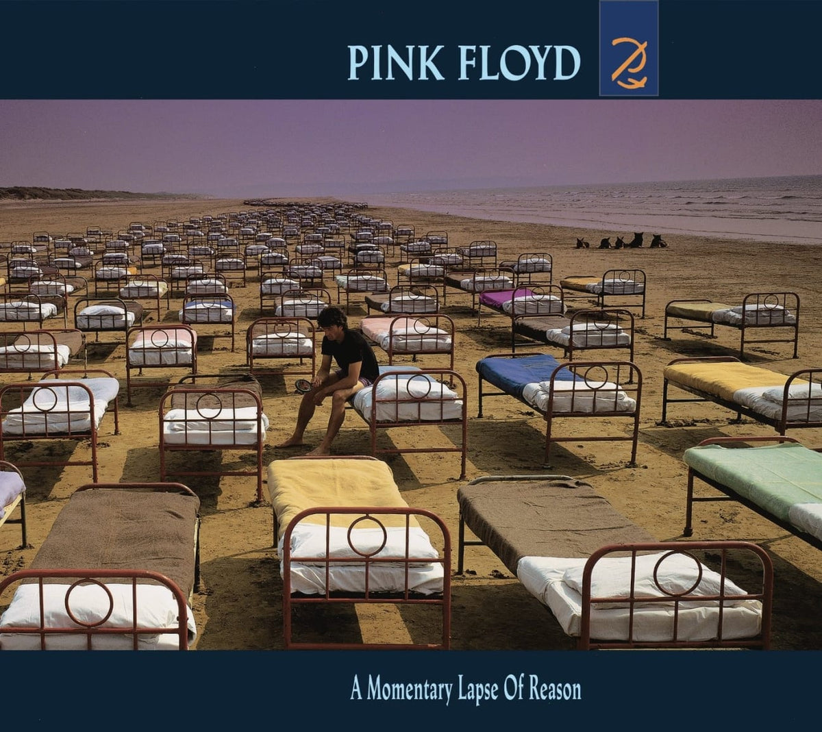 Pink Floyd - A Momentary Lapse Of Reason - [CD]