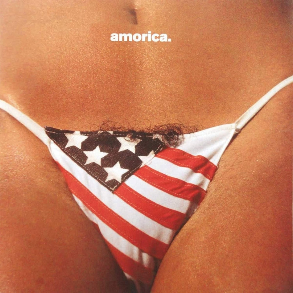 The Black Crowes - Amorica - [Vinyl]