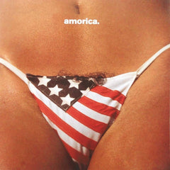 The Black Crowes - Amorica - [Vinyl]