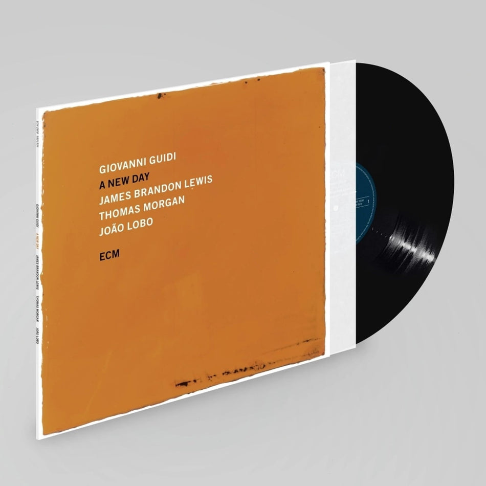 GIOVANNI GUIDI / JAMES BRANDON LEWIS / THOMAS - A New Day - [Vinyl]