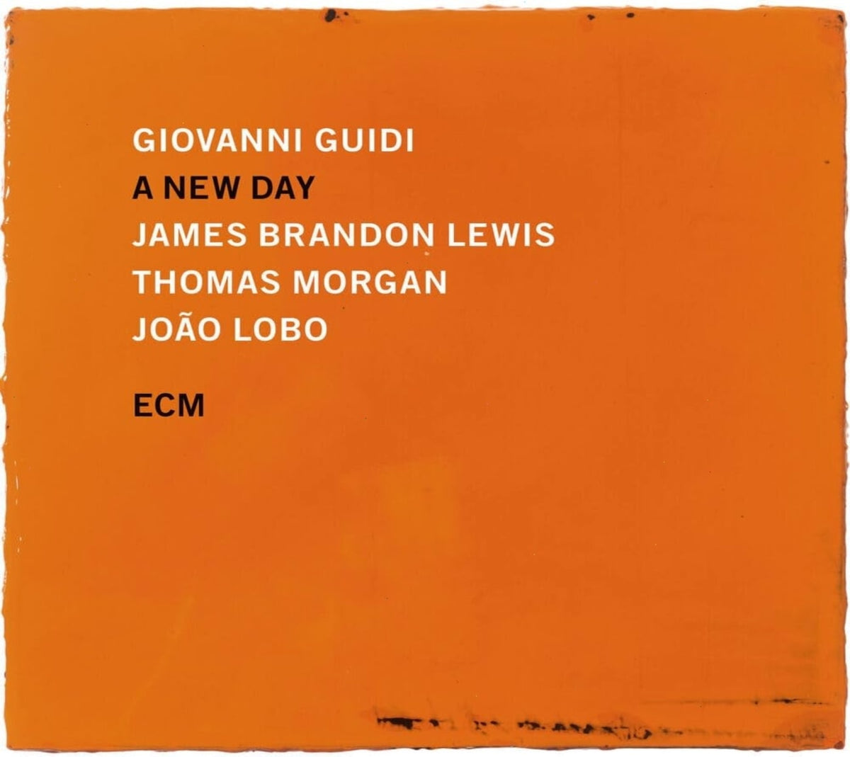 GIOVANNI GUIDI / JAMES BRANDON LEWIS / THOM MORGAN - A New Day - [CD]