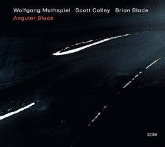 Wolfgang Muthspiel - Angular Blues - [CD]