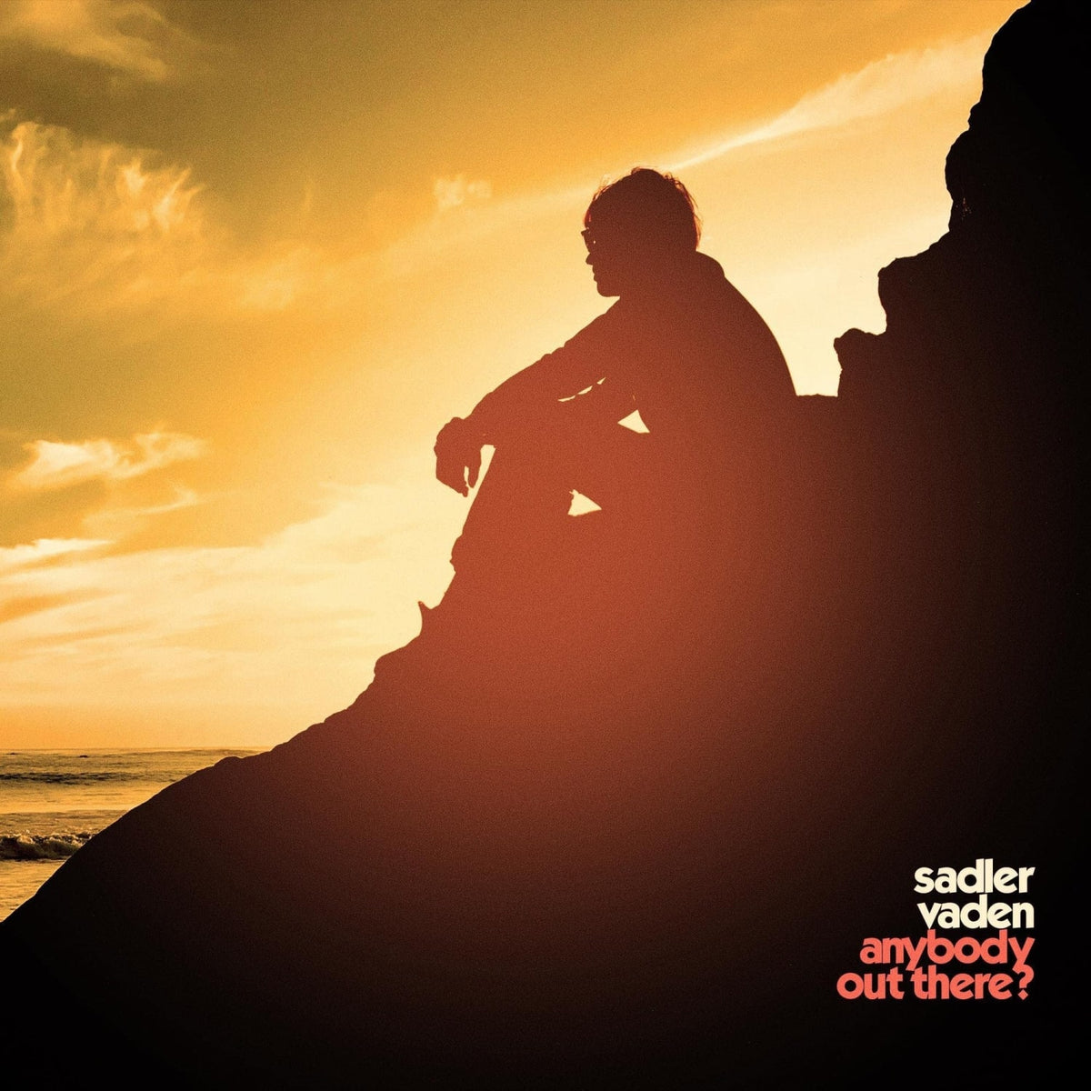 Sadler Vaden - Anybody Out There? - [Vinyl]