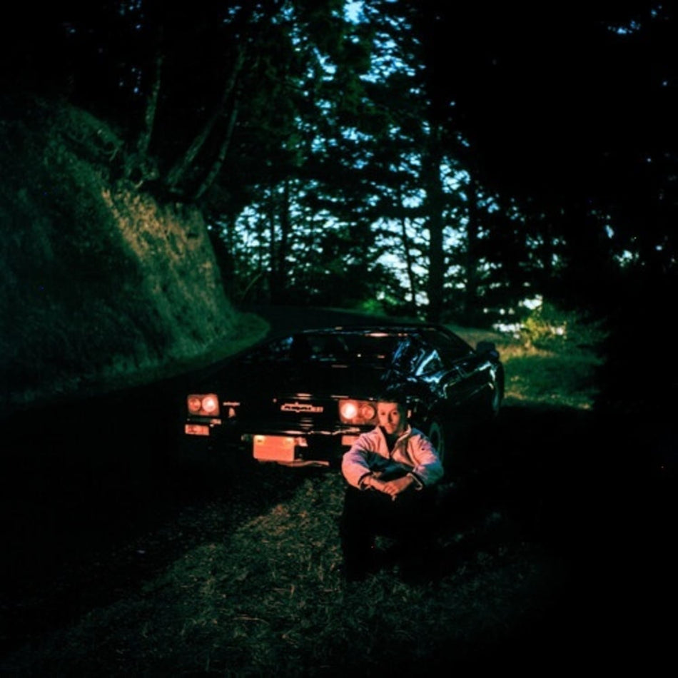Sam Gellaitry - Anywhere Here Is Perfect - (Gatefold LP Jacket, Poster) - [Vinyl]