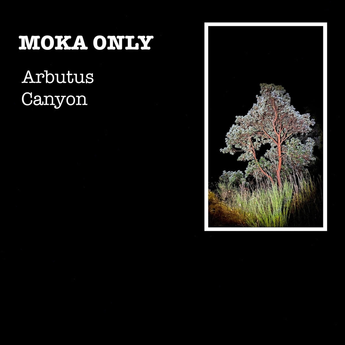 Moka Only - Arbutus Canyon - [Vinyl]