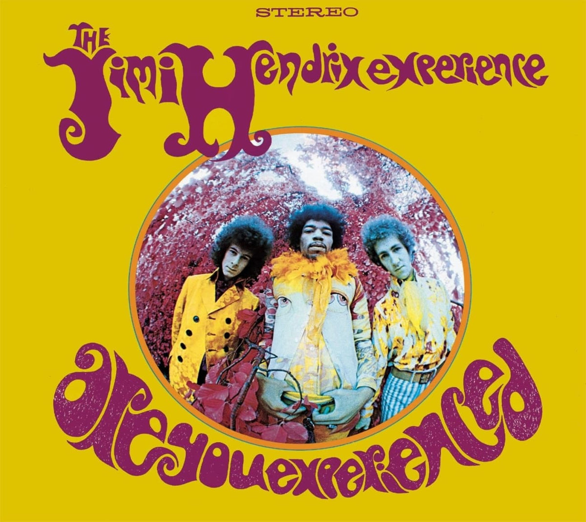 Jimi Hendrix Experience - The - ARE YOU EXPERIENCED - [CD]