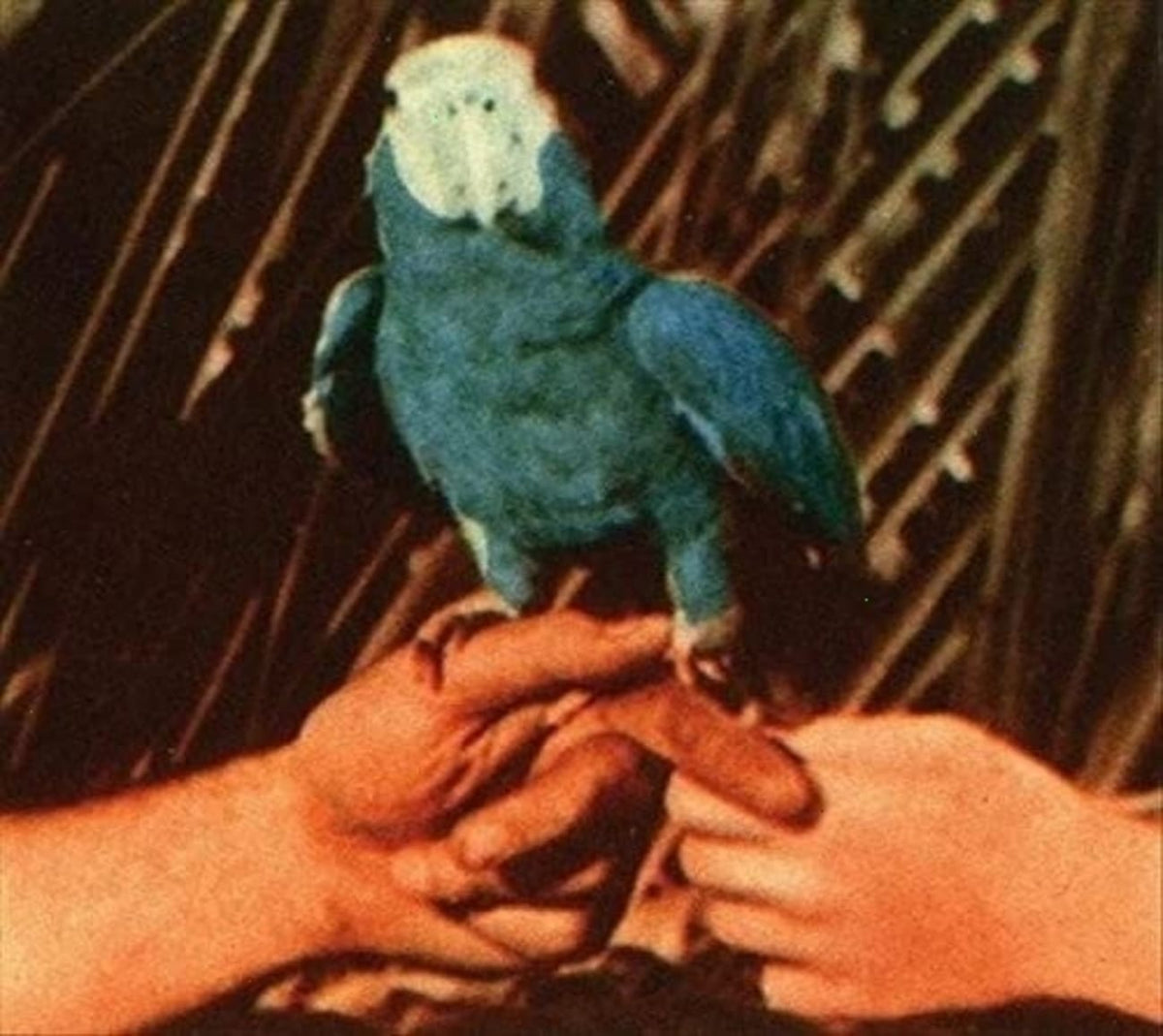 Andrew Bird - Are You Serious - (Deluxe Edition, Digipack Packaging) - [CD]