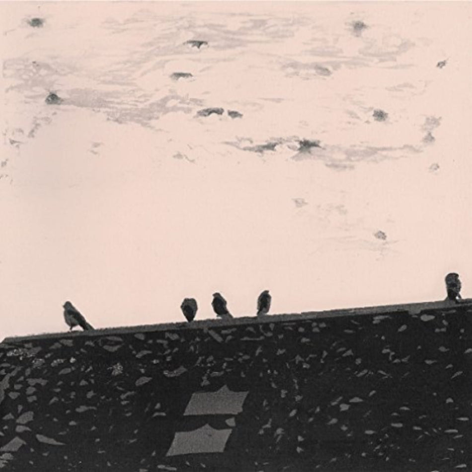 Stuart Staples a. - Arrhythmia - [Vinyl]
