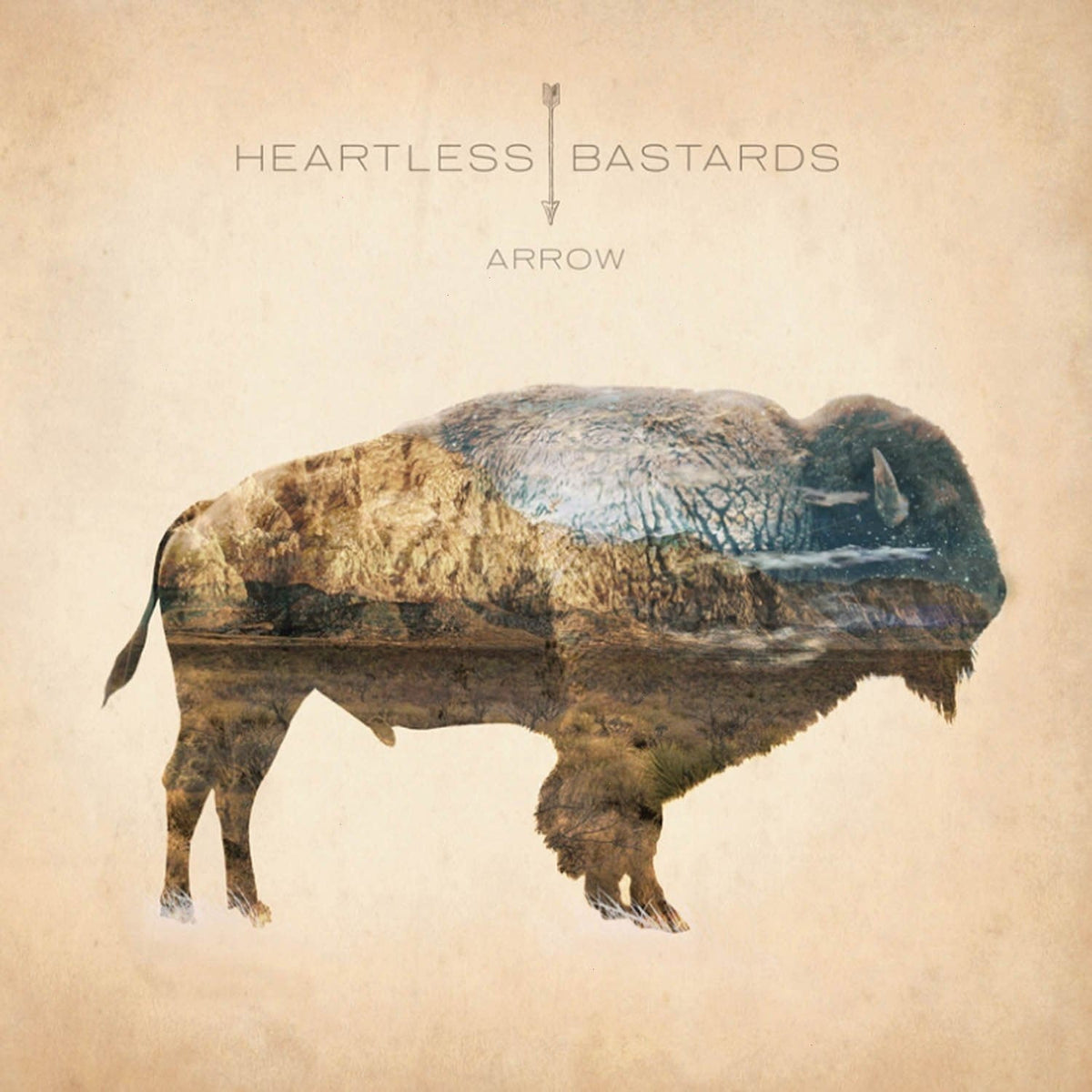 Heartless Bastards - Arrow - [Vinyl]