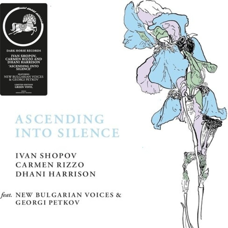 Carmen Rizzo - ascending into silence - (Colored Vinyl, Green) - [Vinyl]