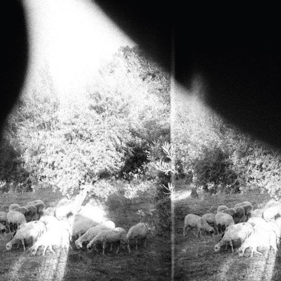 Godspeed You! Black Emperor - Asunder Sweet & Other Distress - [Vinyl]
