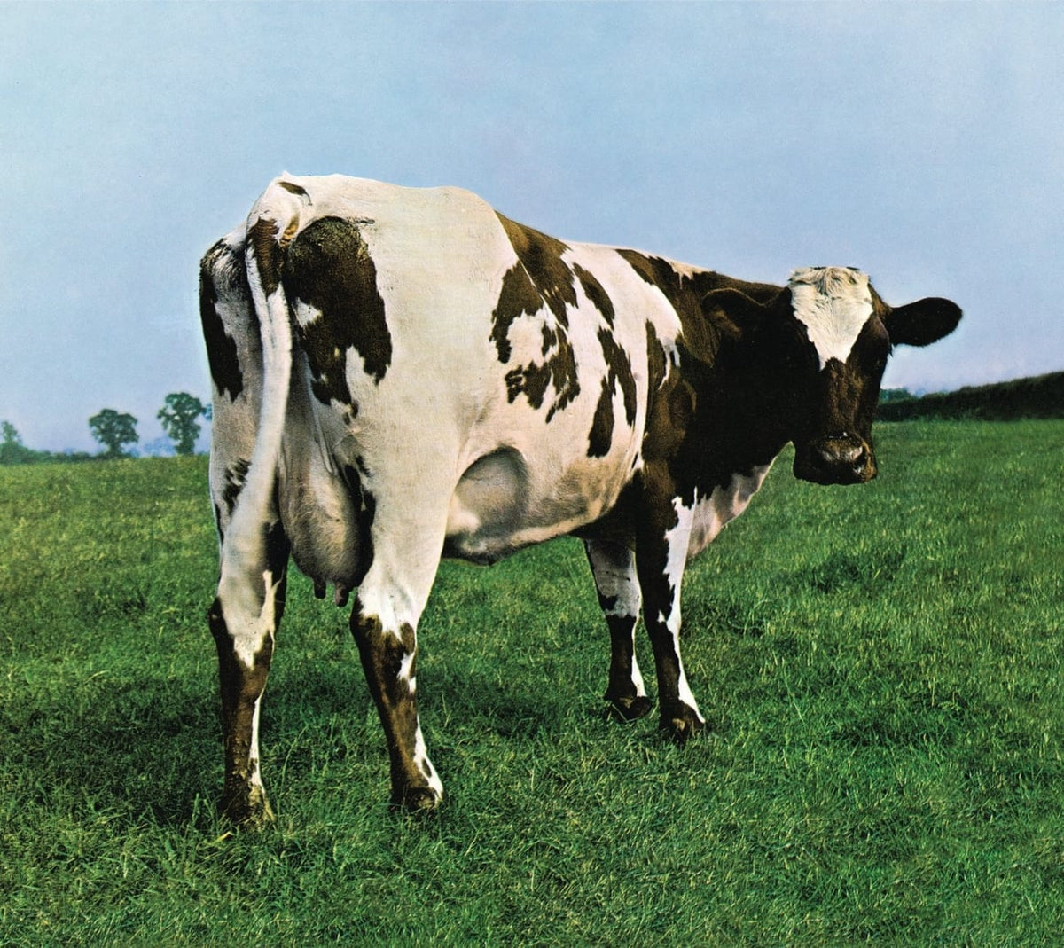 Pink Floyd - Atom Heart Mother - [CD]