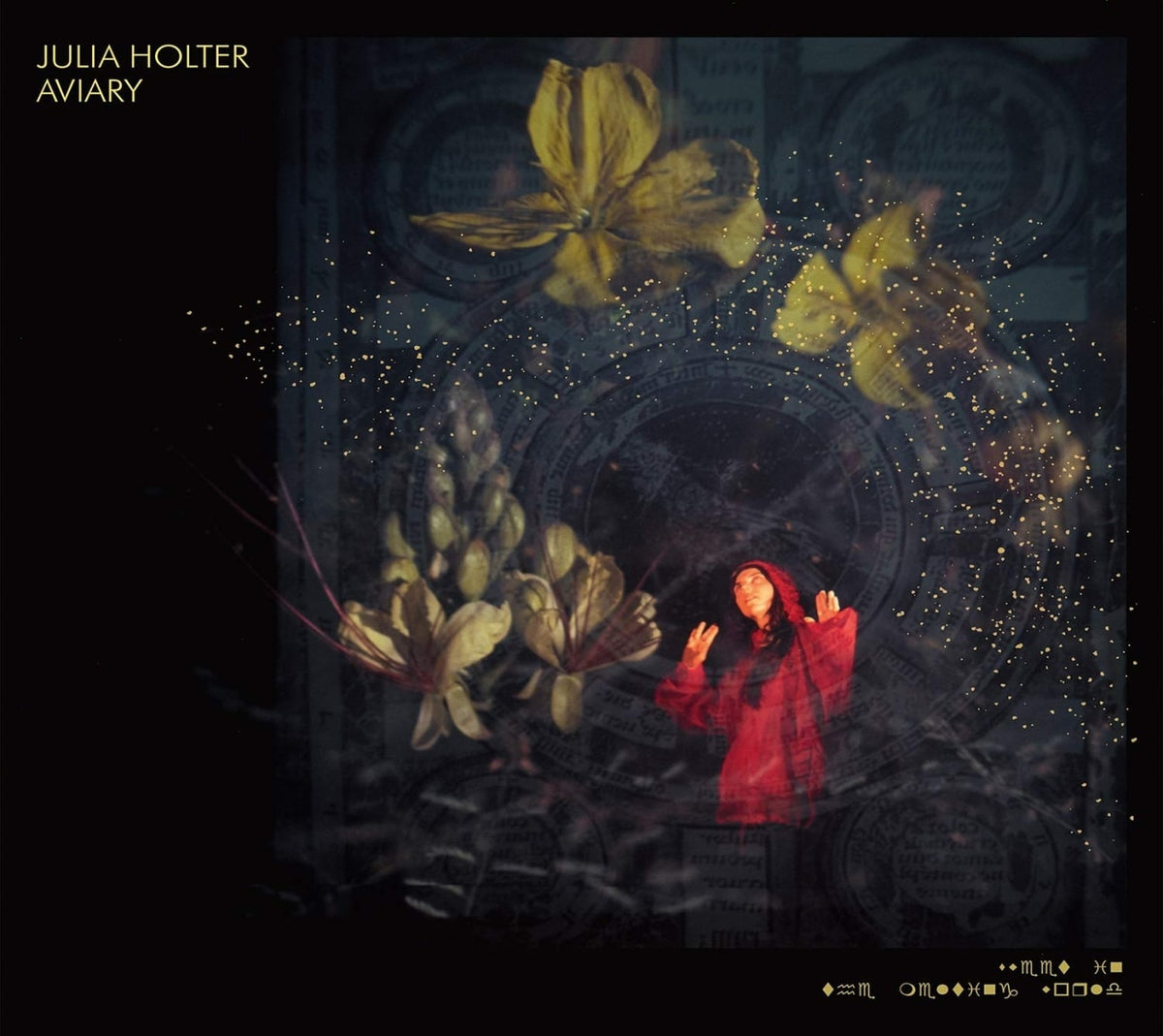 Julia Holter - Aviary - [CD]