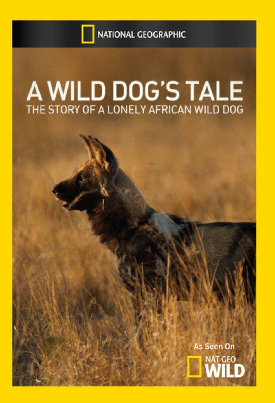 Wild Dogs Tale - [DVD]