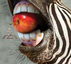 A-Z - A-z - (Digipack Packaging) - [CD]