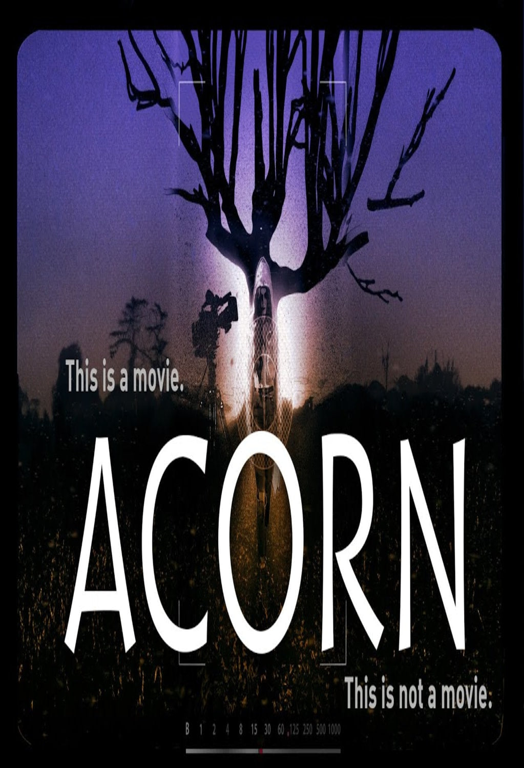 Acorn - (Dolby) - [DVD]