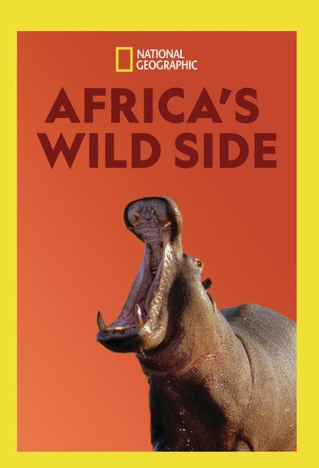 Africa's WIld Side - [DVD]