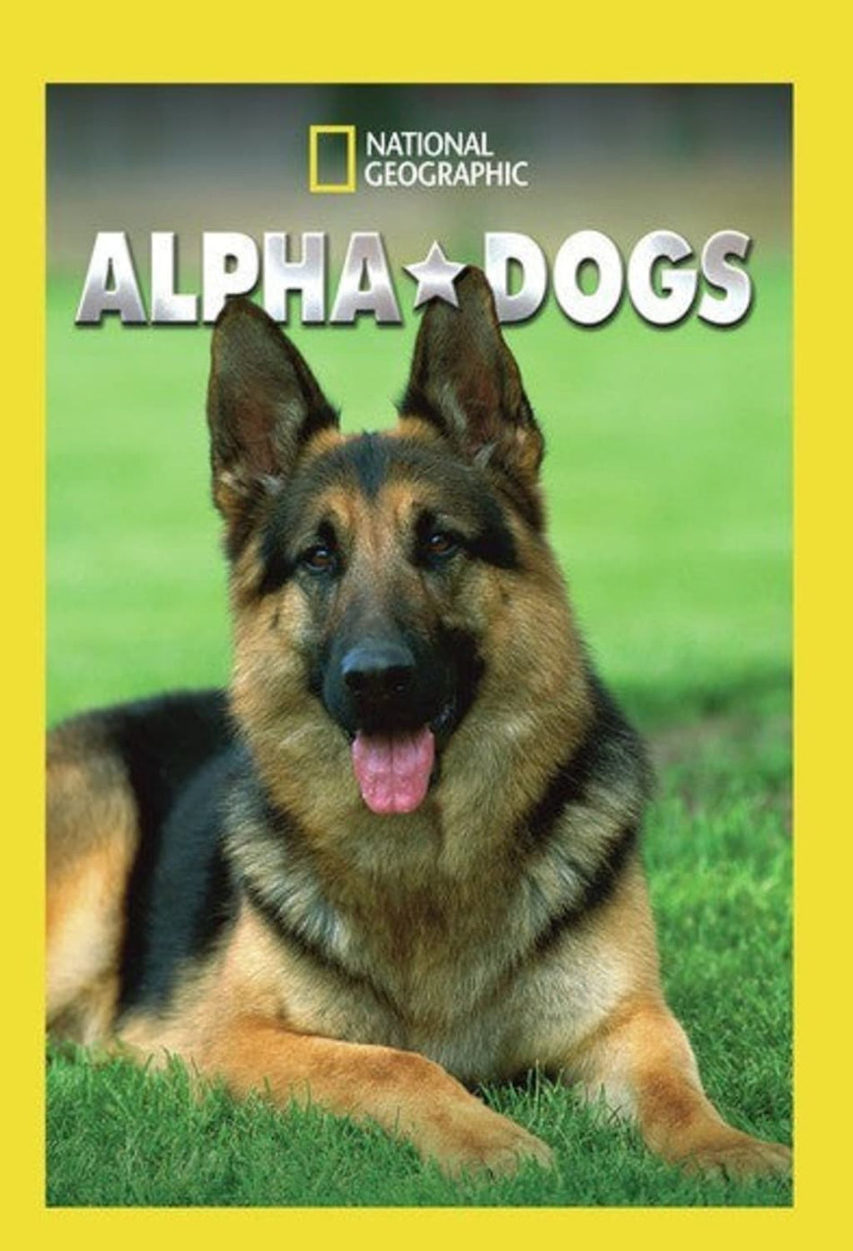 Alpha Dogs - (Widescreen, Dolby, AC-3, 2 Pack) - [DVD]