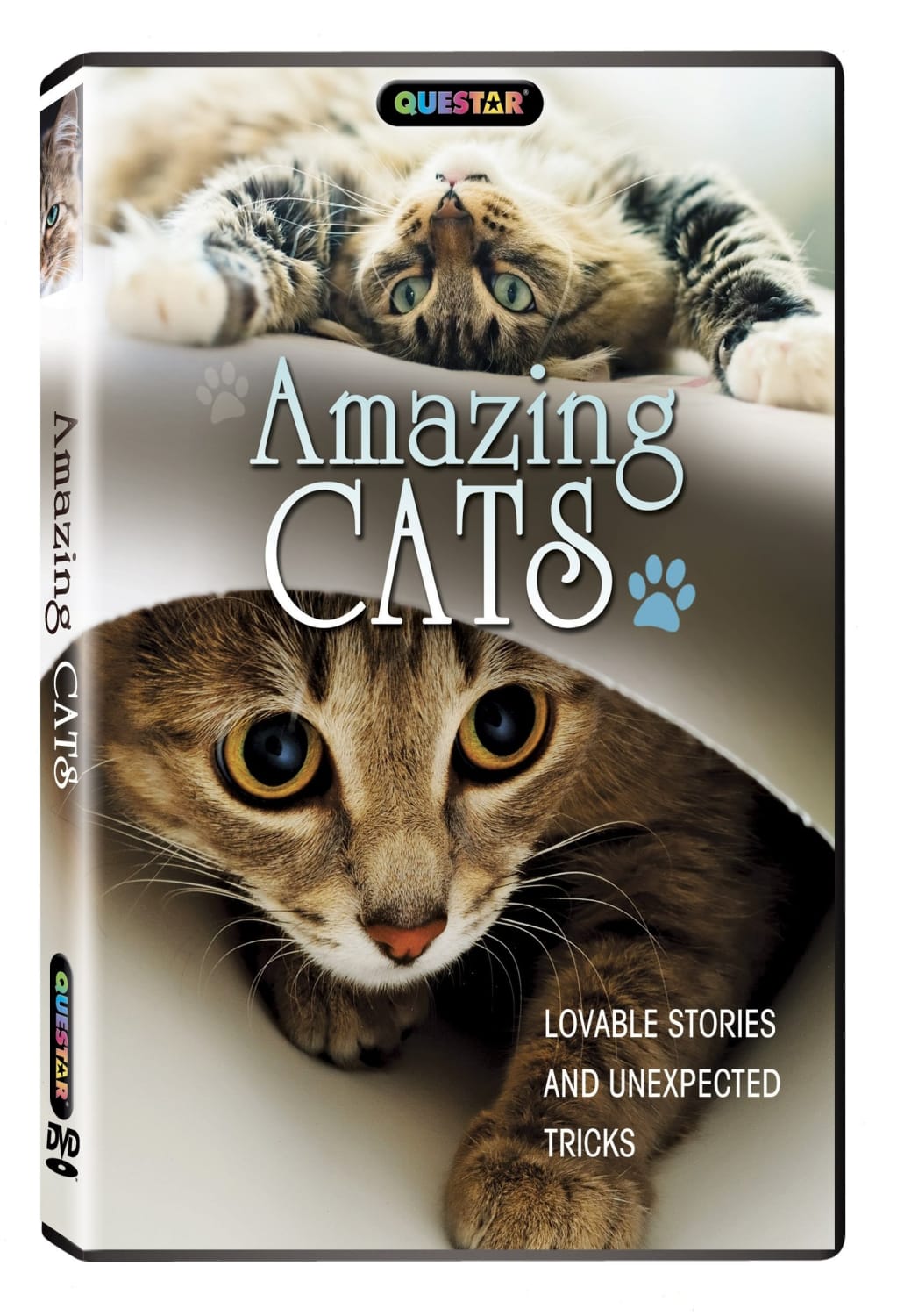 Amazing Cats - [DVD]