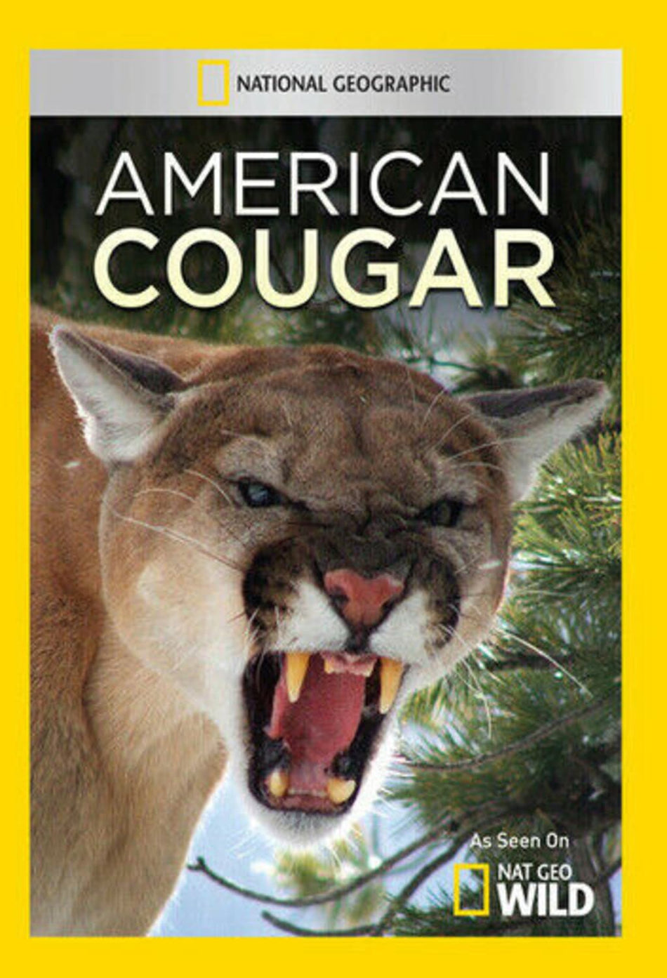 American Cougar - [DVD]