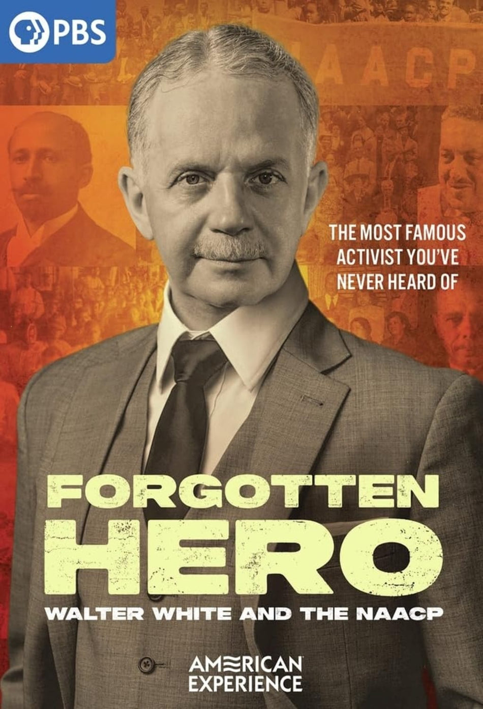 American Experience: Forgotten Hero - Walter White and the NAACP - [DVD]