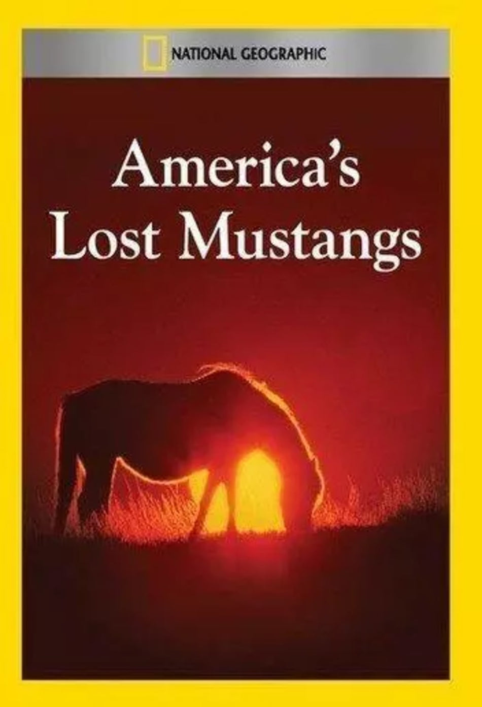 America's Lost Mustangs - (NTSC Format) - [DVD]