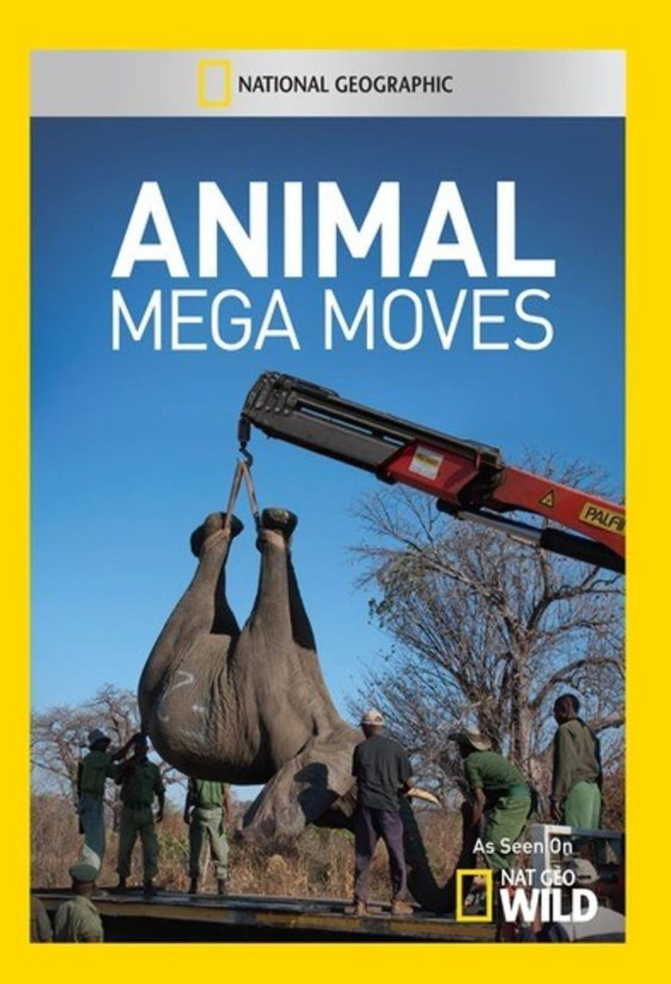 Animal Mega Moves - (NTSC Format) - [DVD]