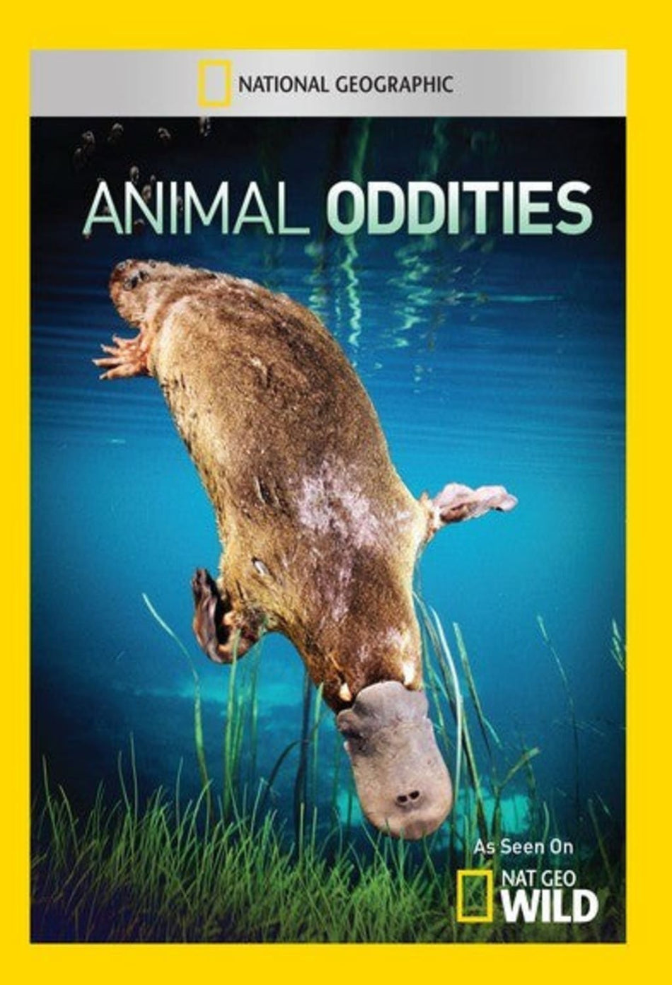 Animal Oddities - (NTSC Format) - [DVD]