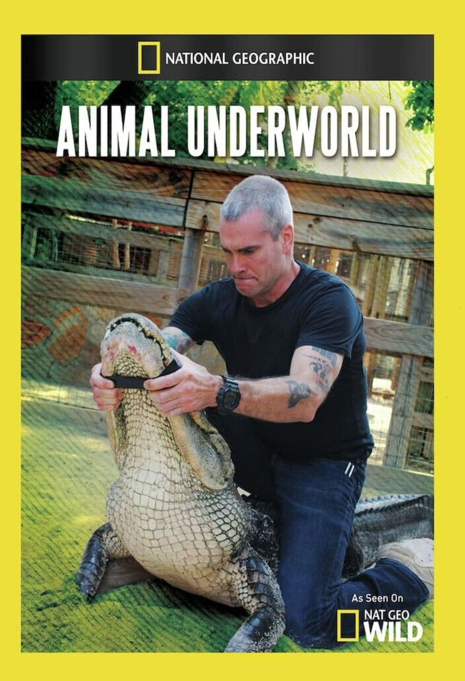 Animal Underworld - (NTSC Format) - [DVD]
