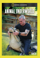 Animal Underworld - (NTSC Format) - [DVD]