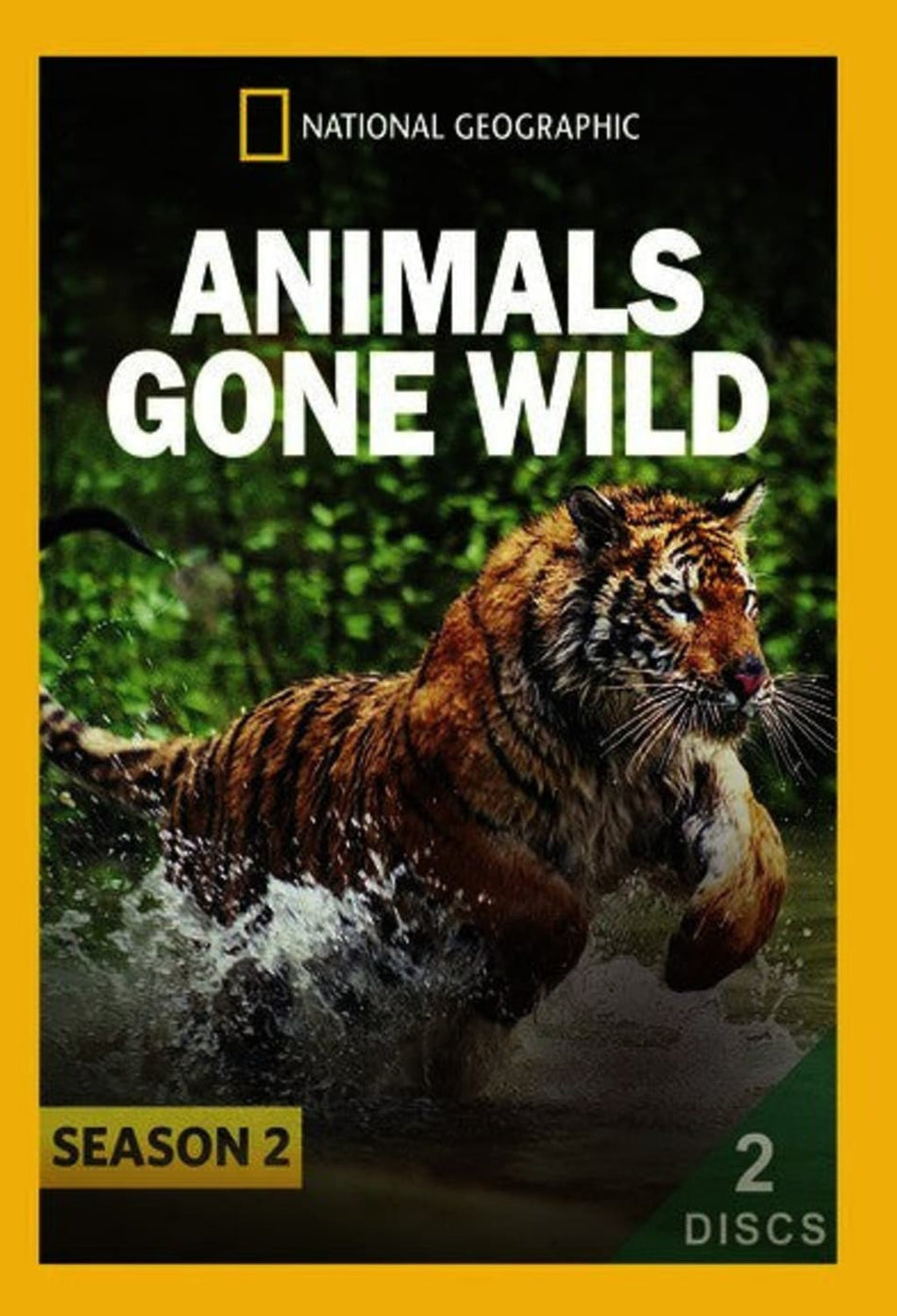 Animals Gone Wild: Season 2 - (2 Pack, NTSC Format) - [DVD]