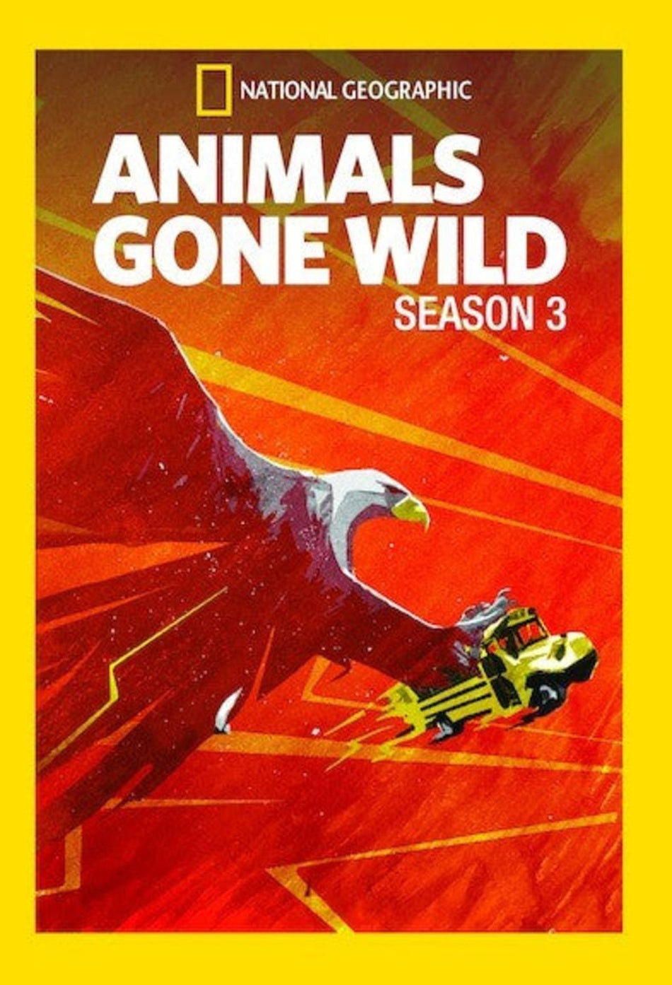Animals Gone Wild: Season 3 - (Widescreen, Dolby, AC-3, NTSC Format) - [DVD]