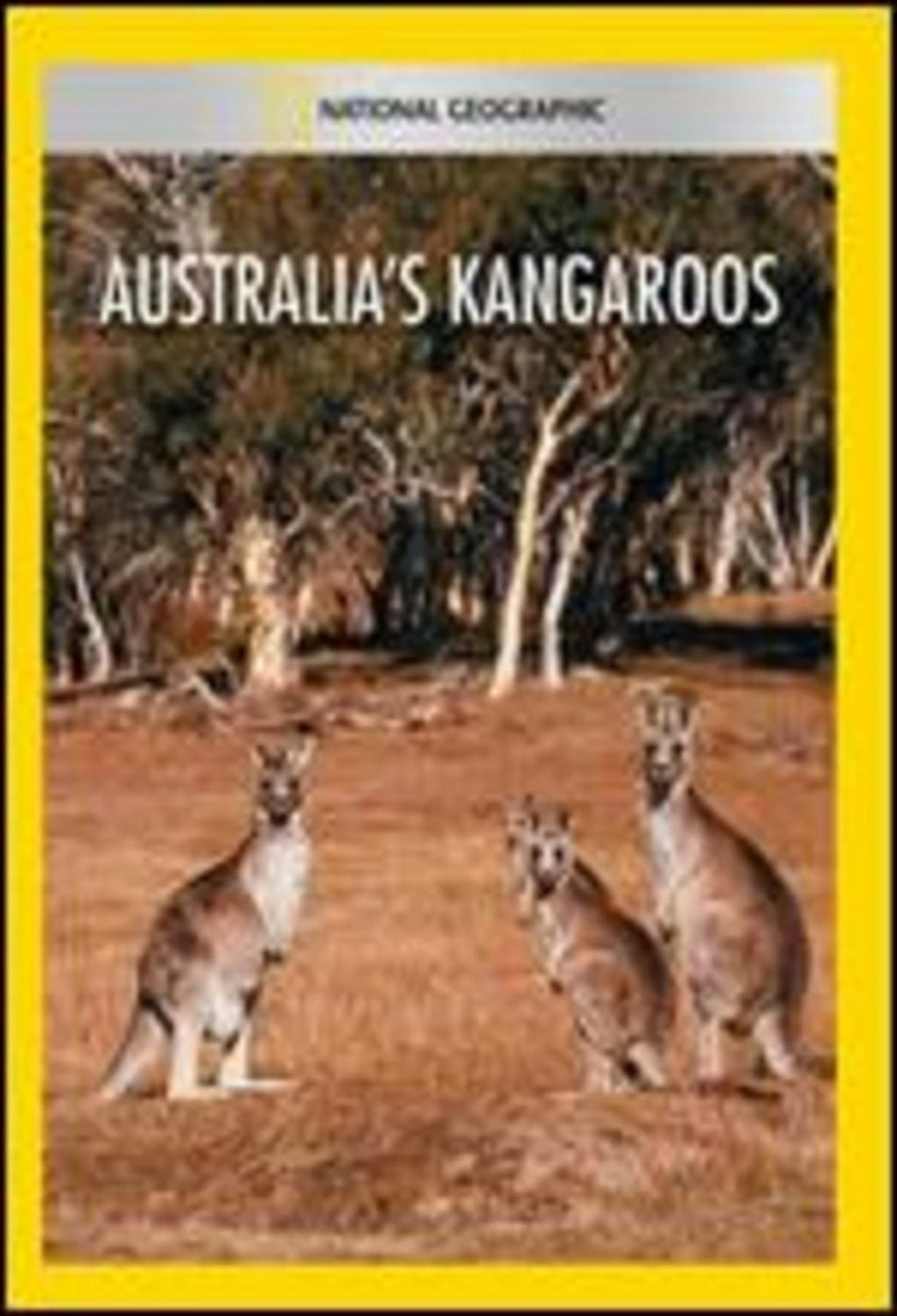 Australias Kangaroos - (NTSC Format) - [DVD]