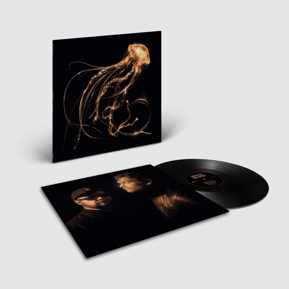 Royal Blood - Back To The Water Below - [Vinyl]