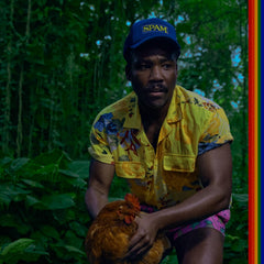 Childish Gambino - Bando Stone And The New World [Explicit Content] - (Parental Advisory Explicit Lyrics, Gatefold LP Jacket) - [Vinyl]